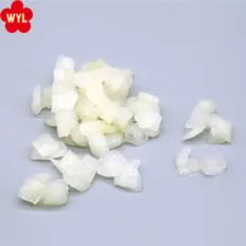 Frozen Onion (44)-3050984-2951.webp